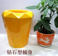 橄榄树与松树盆栽：永恒的象征