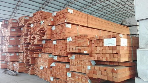 市场供需， 价格的晴雨表