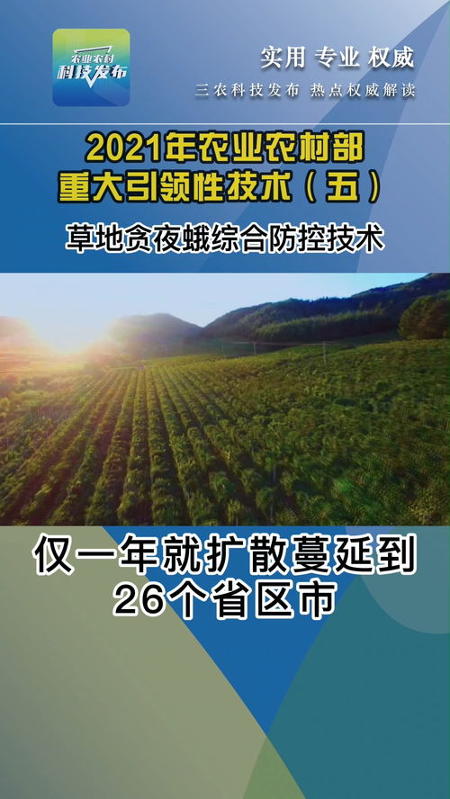 农业养殖疫病防控与处理技术保障