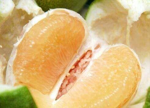 柚子种子的“神秘休眠”