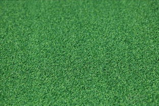 关键技巧：有机缓释肥