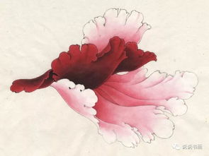 “哪里能找到高清牡丹花画？这些美图值得收藏吗