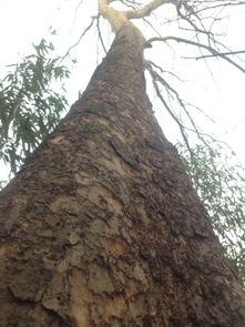 开头就是硬道理