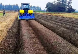 乙草胺的魔法：种子不Neng发芽