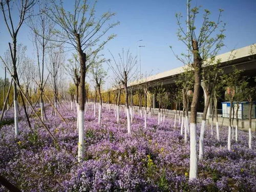 绿意盎然 生活在自然中