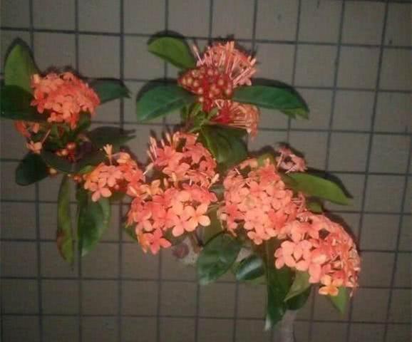 换土要像换秋裤