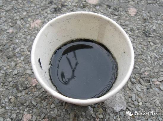 实践出真知：草木灰浸出液的使用方法