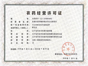 四、 备考心得分享