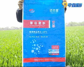 小麦生虫了咋办？聊聊防治那些事儿