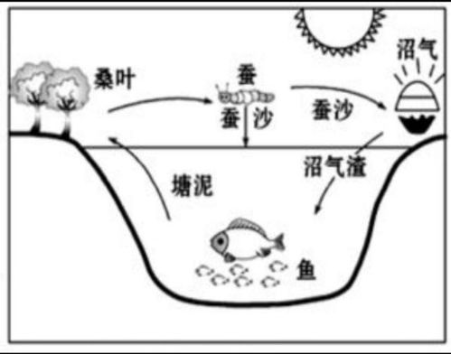 农业产业升级推动农药制造技术进步