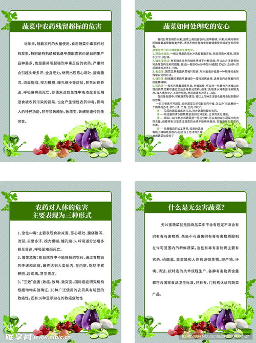 高清特色农药手工作品图片解析：如何辨认配方与制作工艺