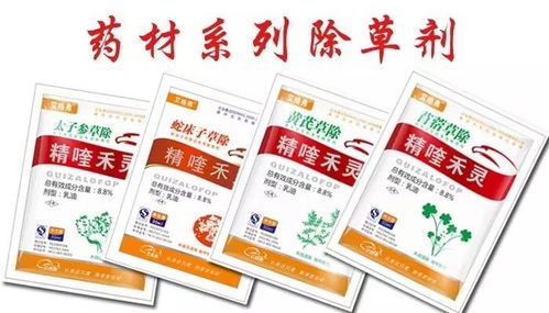 甲禾灵的“神奇力量”