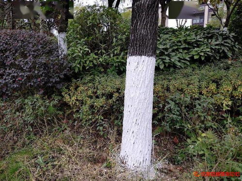 防止日晒与冻害