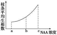 Zui佳浓度的确定：实践出真知