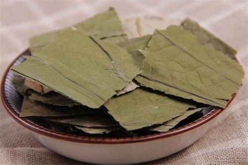 菊花清热解毒，泡水喝有什么神奇效果