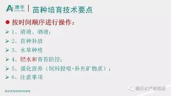 龙虾水产饲料加工过程中，如何确保营养成分的均衡，以提高饲料的转化率和养殖效益？