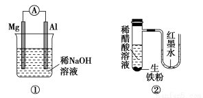 溶解度之谜：成分含量的秘密