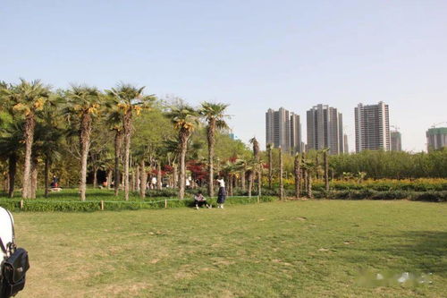 草坪冻害防范，你真的懂吗？