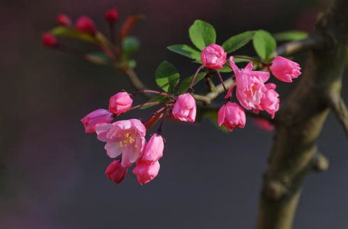 春季施肥：唤醒生机的时候