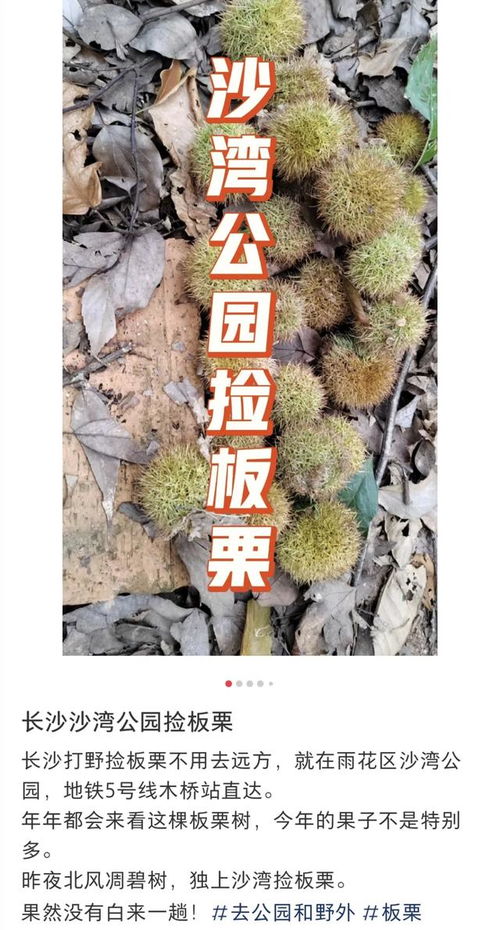 迷信黄历？还是堪地温吧！