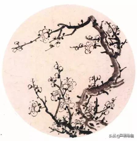 梅花小苗上盆，第二步：盆子要选对