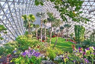 上海辰山植物园：一场与自然的浪漫邂逅