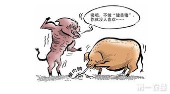 瘦肉精危害大，绿色养殖是关键