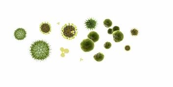 光合细菌，这个神秘的生物，培养起来是不是要严严实实呢？