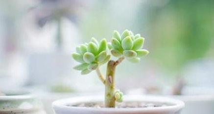 （实操步骤拆解）