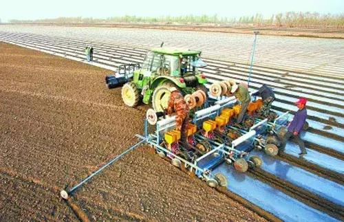 播种量的胡言乱语