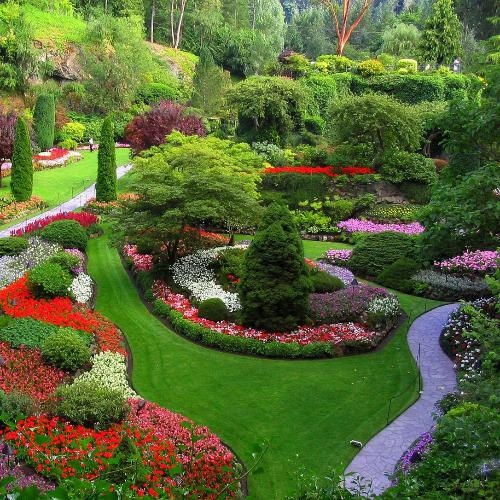 园林植物配置：景观中的魔法师