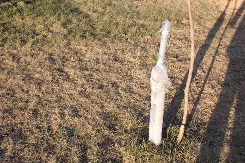 覆沙，你Zuo了吗？