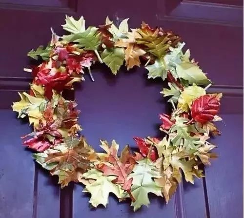 秋冬季节的养护：蟹爪兰的受欢迎