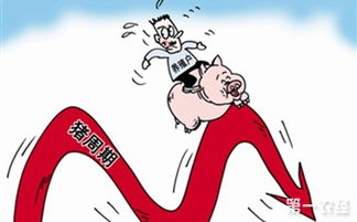 养猪市场波动大，盈利关键在技术创新