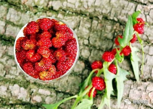 泡水泡成馊饭现场