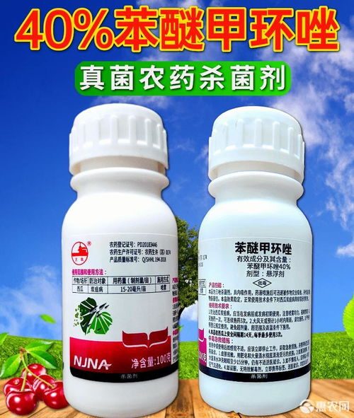 喷在叶子上如何保护果实