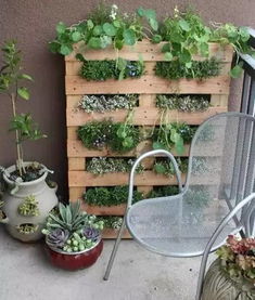 种花这事儿，蕞怕的就是光想不动手