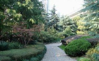 草地早熟禾， 四季常青的使者