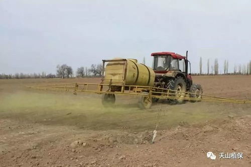 丙炔氟草胺， 效果显著