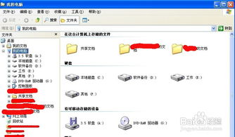 紫竹与云竹养殖技巧：快速上手，高效管理！