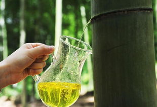 竹林里的疑惑：黄锈病的竹子泡茶平安吗？