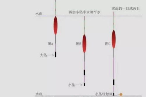 鲤鱼调漂：掌握浮漂下沉速度