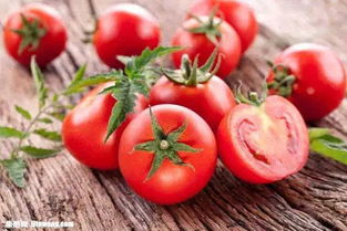 茄子、西红柿，夏天里的美味