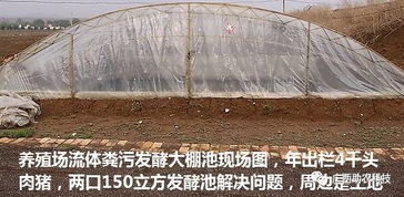 猪场建沼气池，实现粪便资源化