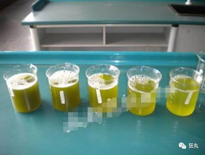 喷雾法的详细步骤