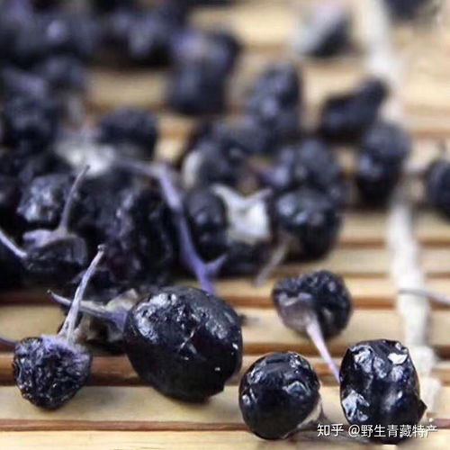 野生黑枸杞产地不同，价格差异大吗