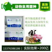 阜阳强大饲料有限责任公司阜阳饲料厂有哪些产品？