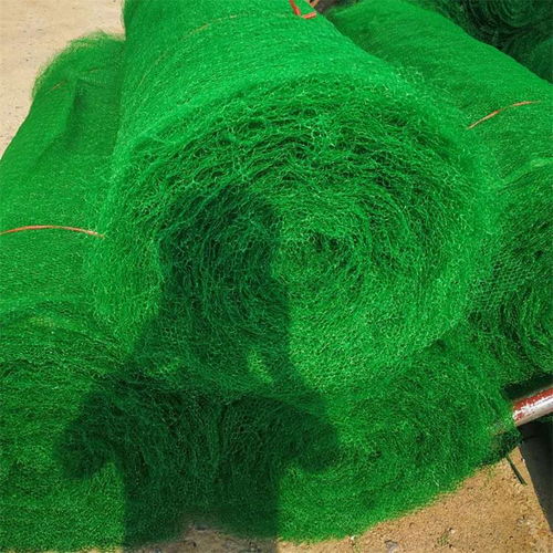 河边的绿色守护者：适合种植的草类植物揭秘