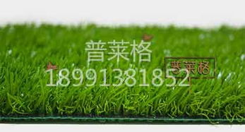 人造草坪专用除草剂使用后人造草坪日常应该如何保养以保持其美观耐用？