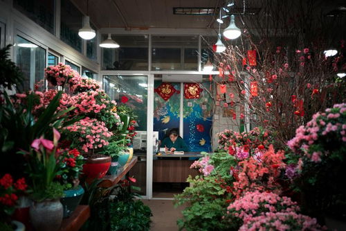 5. 开设咖啡馆或面包店